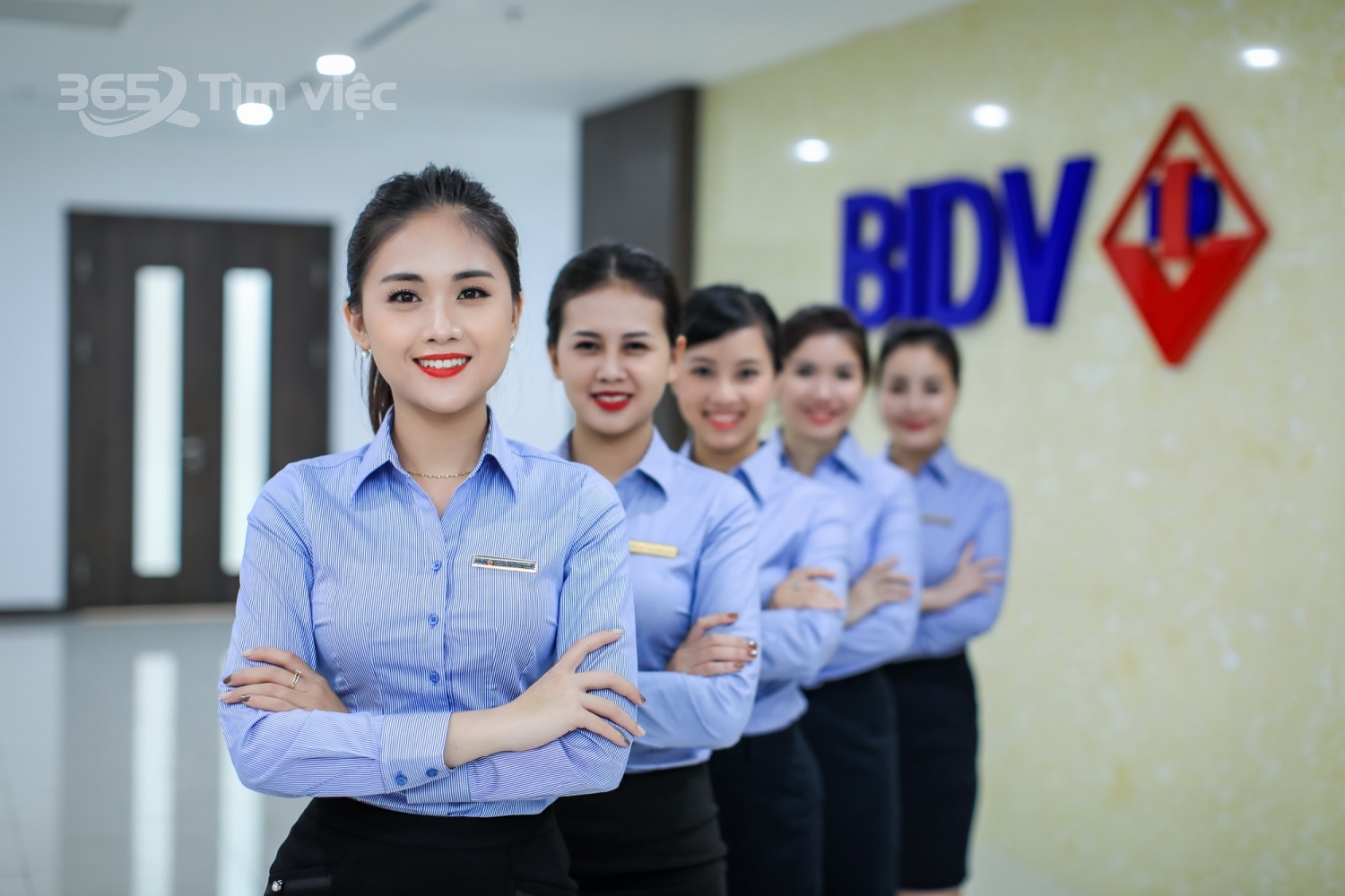 Top những công việc đang được tuyển dụng nhiều tại BIBV