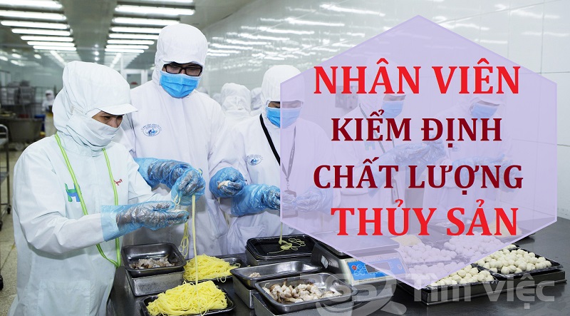 Nhân viên kiểm định chất lượng thủy sản tại Hà Nội