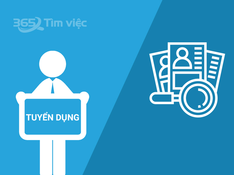 PMO và vị trí quản lý dự án – thông tin tuyển dụng, việc làm cho bạn