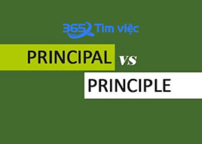 Phân biệt Principal và Principle