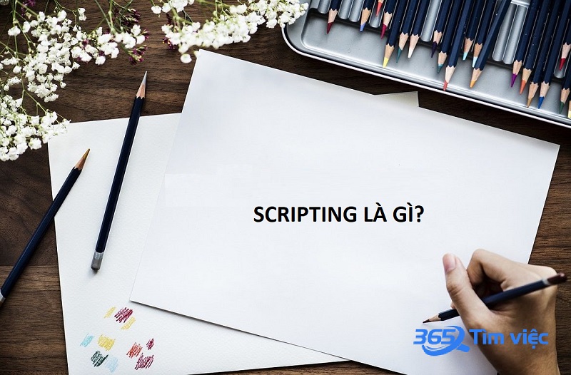 Scripting là gì?
