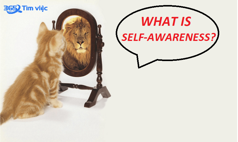 Self-awareness là gì