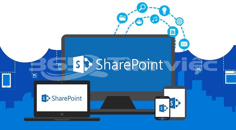 Đáp án: SharePoint là gì?