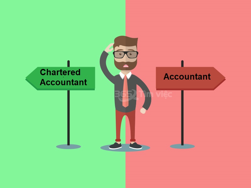 So sánh kế toán viên giám định với kế toán viên bình thường - Chartered Accountant là gì?