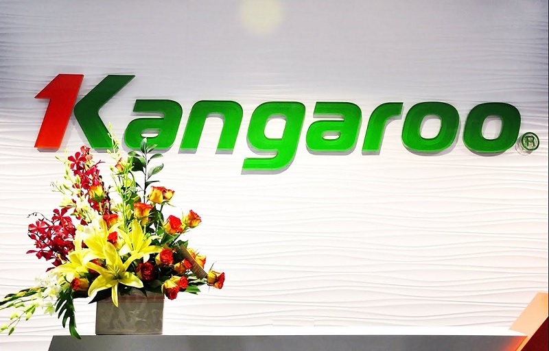 Tập đoàn Kangaroo