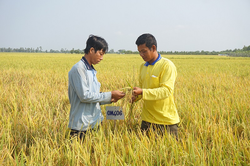 Thực trạng khuyến nông tại Việt Nam