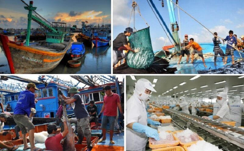 thựcc trạng việc làm thủy sản Việt Nam 