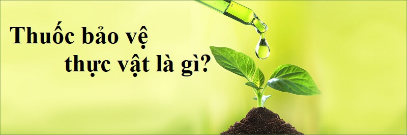 Thuốc bảo vệ thực vật là gì?