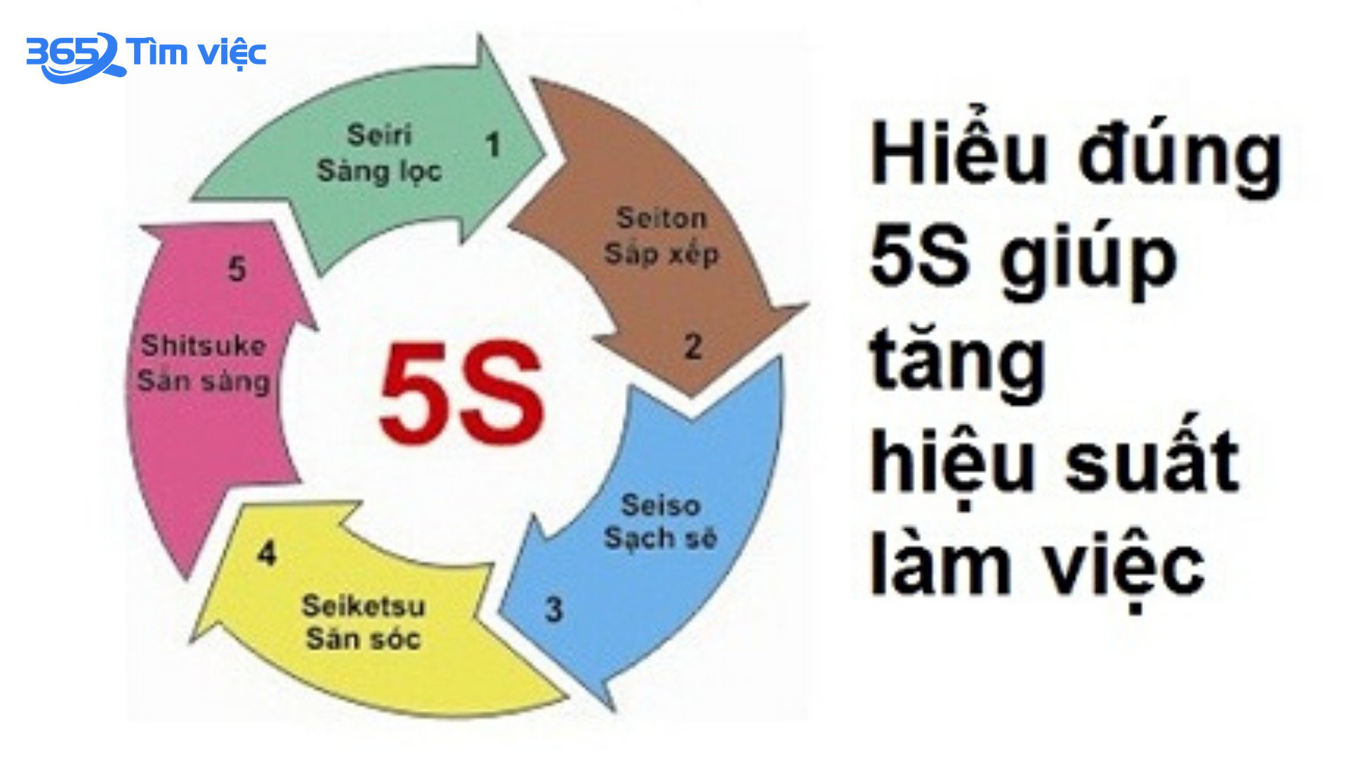Tiêu chuẩn 5S là gì? Hướng dẫn chi tiết và lợi ích của phương pháp 5S