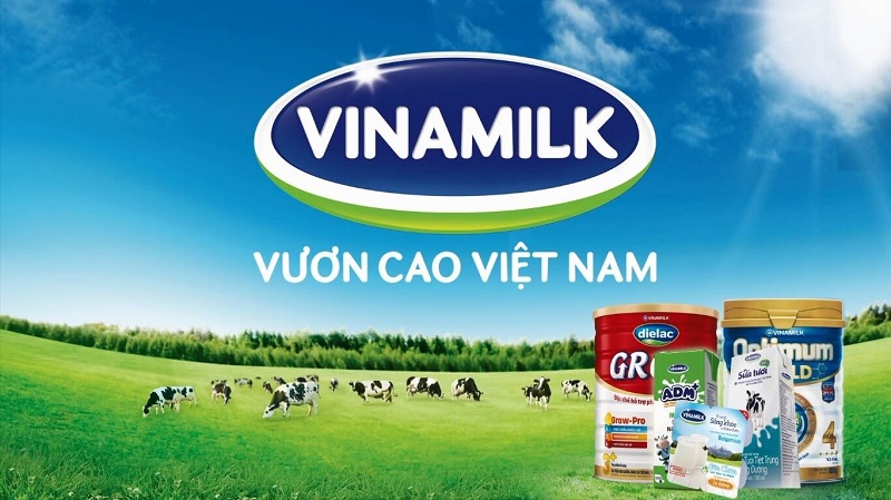 Công ty sữa Vinamilk Bình Định tuyển dụng