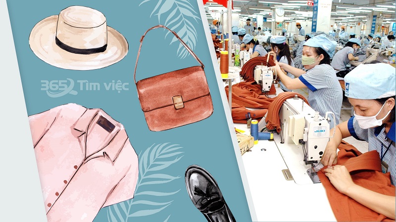 Đặc điểm về nhân lực Tổng công ty Việt Thắng - CTCP