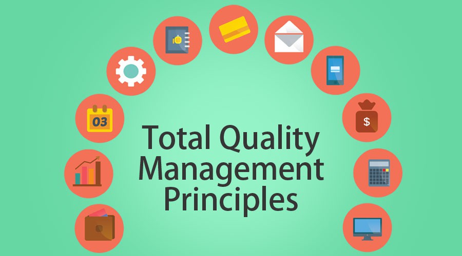 Các ngành có thể áp dụng quản lý chất lượng toàn diện như thế nào