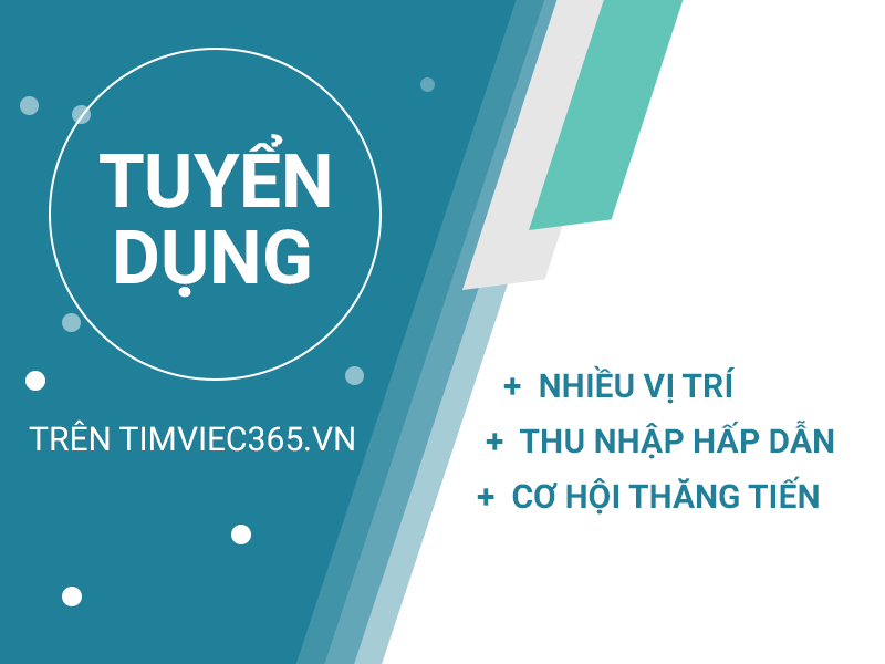 Timviec365.vn – Nơi kết nối người lao động với Tập đoàn Xây dựng Hòa Bình