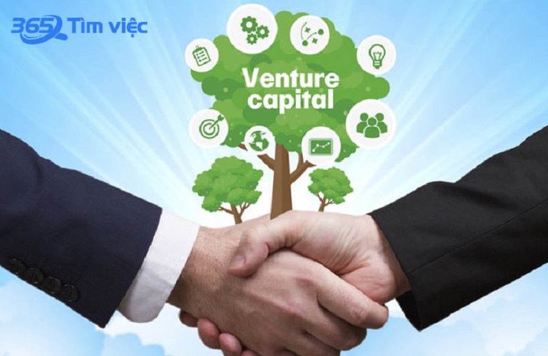Venture capital là gì?