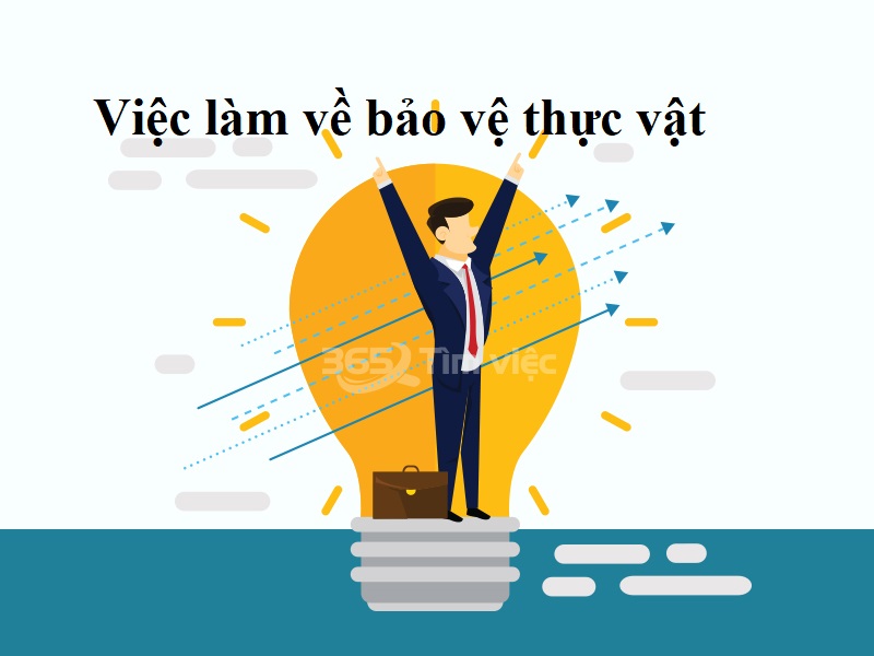 Thuốc bảo vệ thực vật là gì - cơ hội việc làm bảo vệ thực vật cho bạn