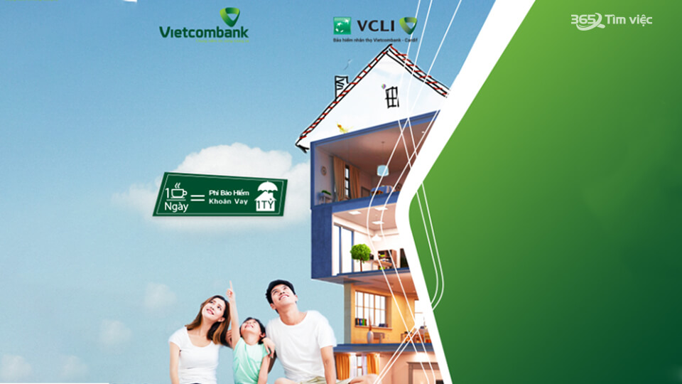 Lĩnh vực hoạt động