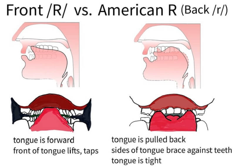 Chuyển động của lưỡi có ảnh hưởng đến âm bạn phát ra