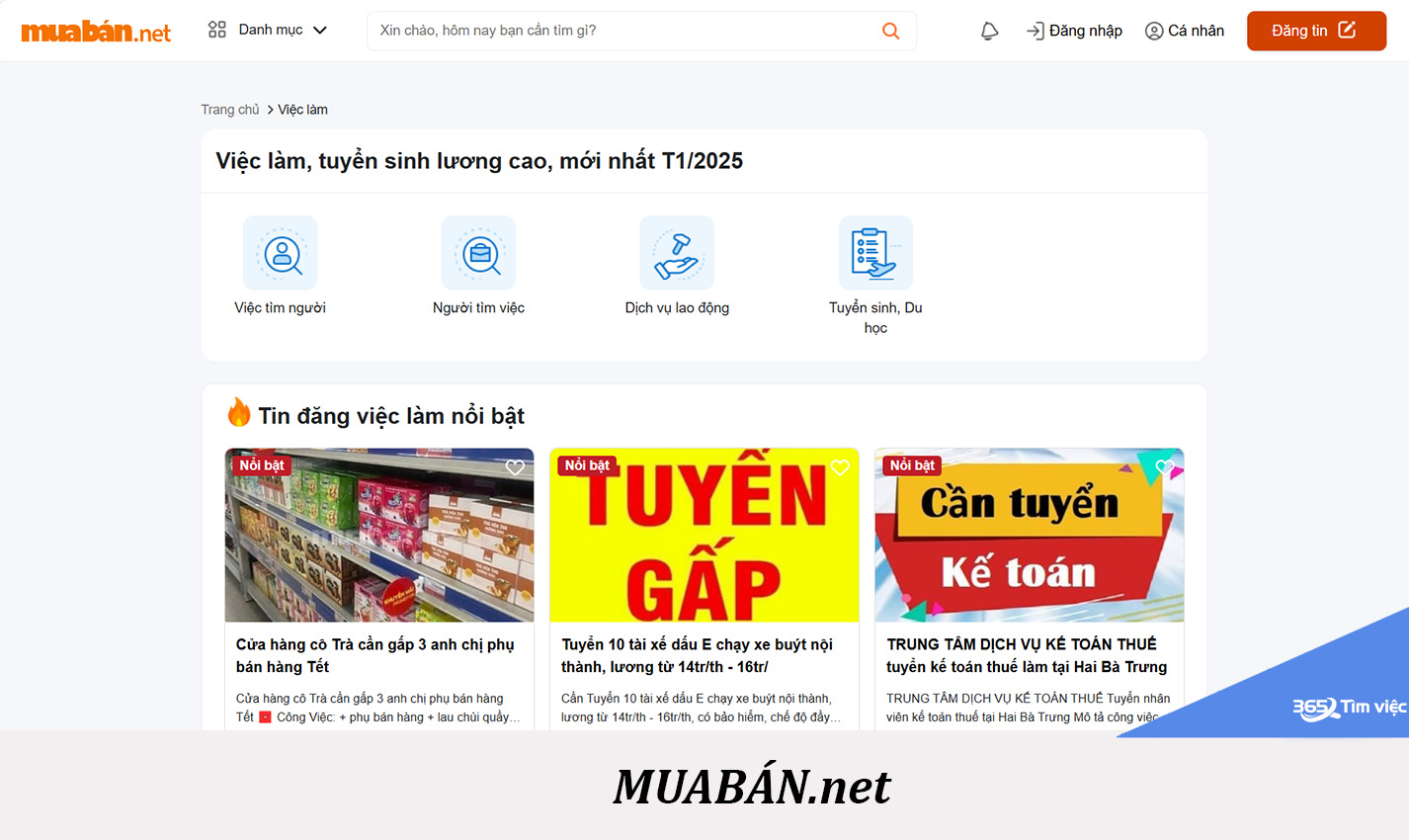 muaban.net - web tìm việc làm uy tín dành cho người ít kinh nghiệm