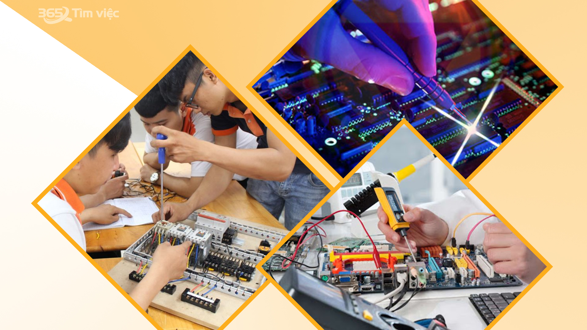 Giới thiệu sơ lược về công việc quản lý an ninh