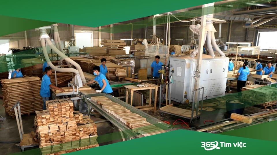 Dịch vụ cho thuê văn phòng, kinh doanh xuất nhập khẩu gỗ và khách sạn 