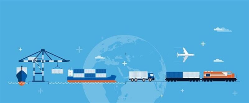 Vận tải đơn và giấy phép nhập khẩu trong hồ sơ