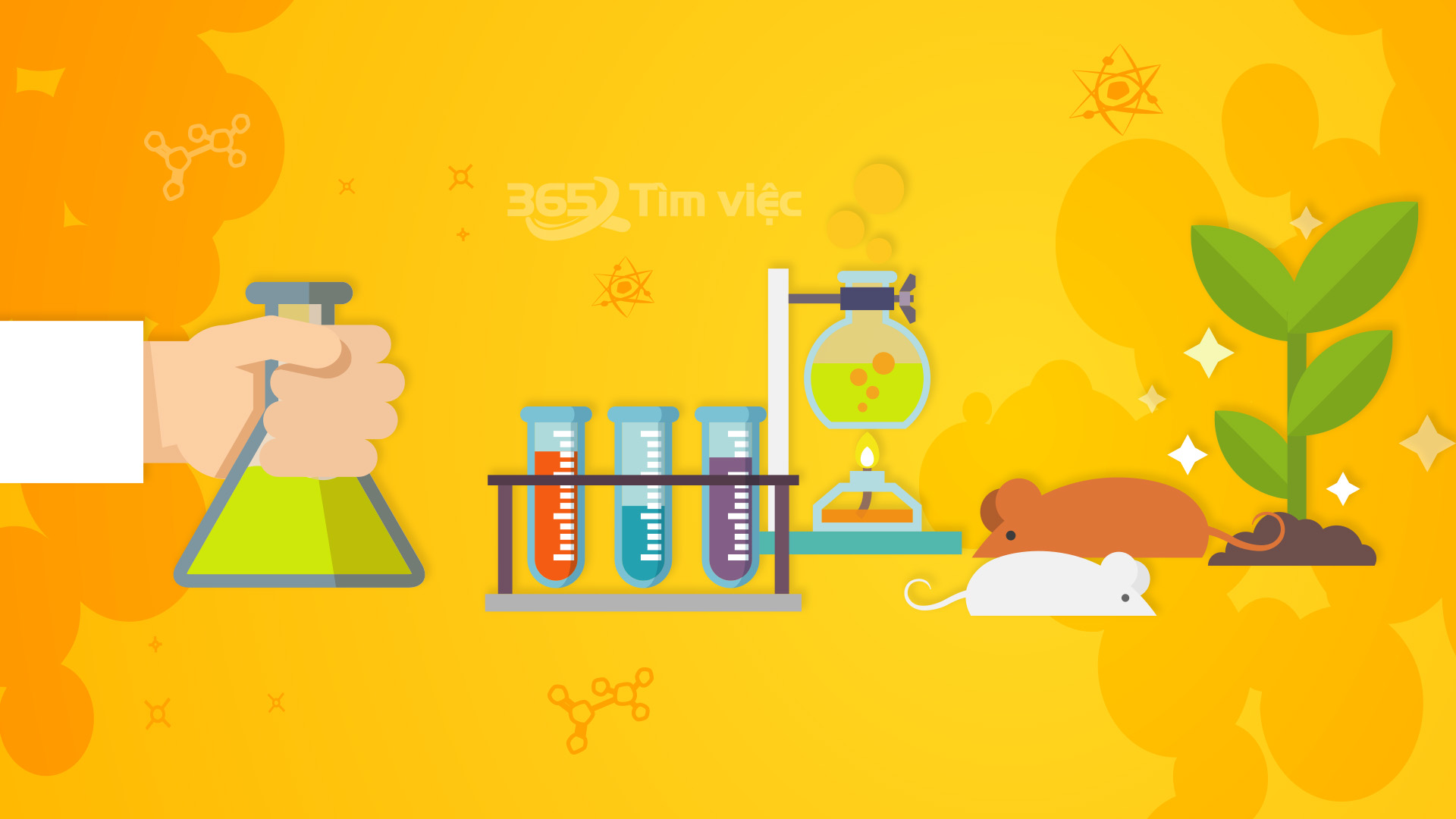 Những công việc cơ bản tại trang trại
