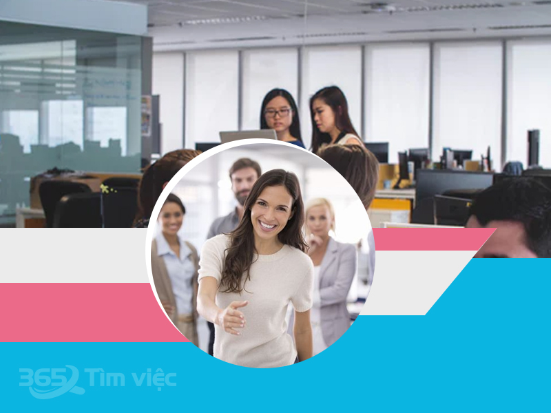 Những việc làm tham khảo cho sinh viên luật mới ra trường