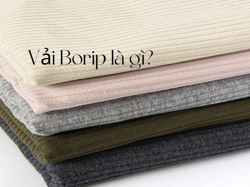Vải borip là vải gì?