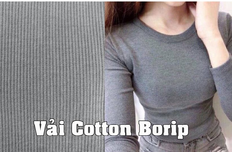 Vải cotton borip