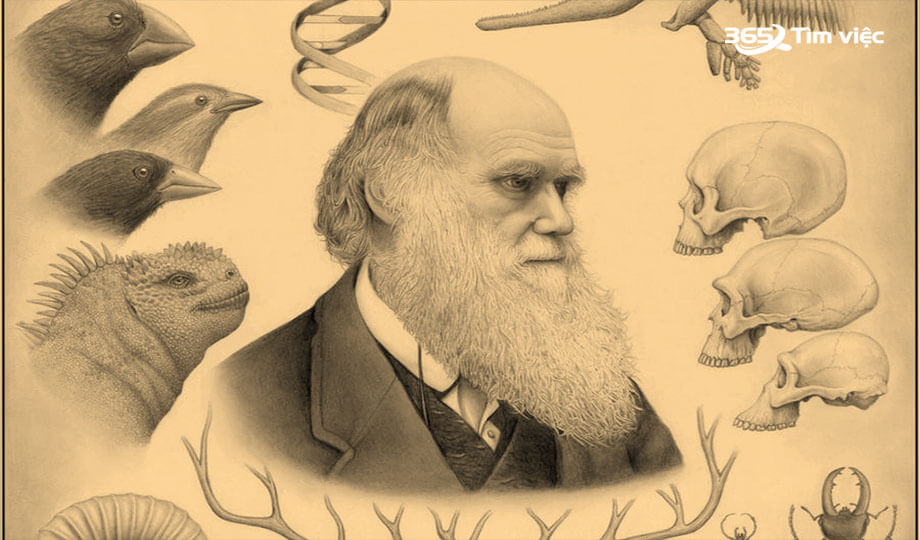 Tư tưởng mới của Darwin