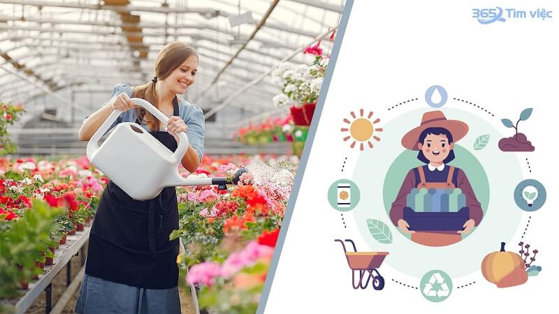 Đặc điểm của của chăm sóc cây cảnh