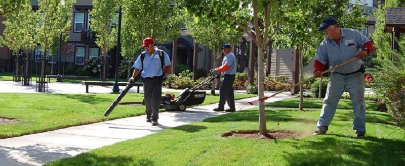Có rất nhiều việc làm vườn dành cho các bạn