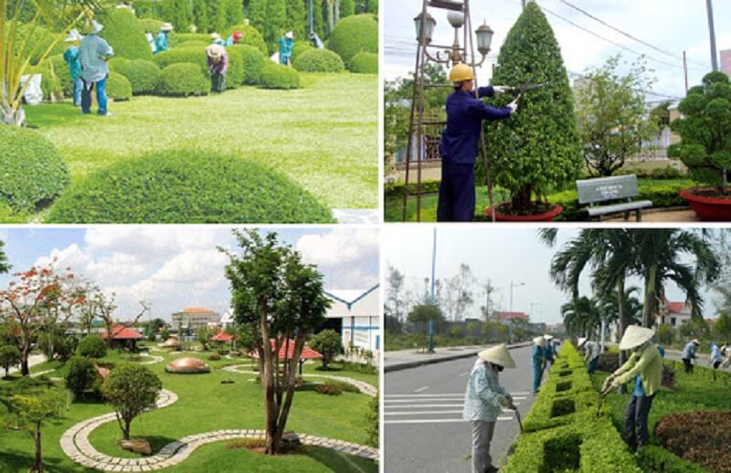 Kinh nghiệm tìm việc làm nhân viên làm vườn