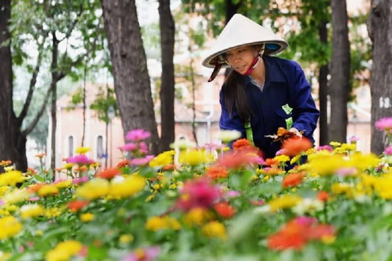 Khái quát về việc làm nhân viên làm vườn