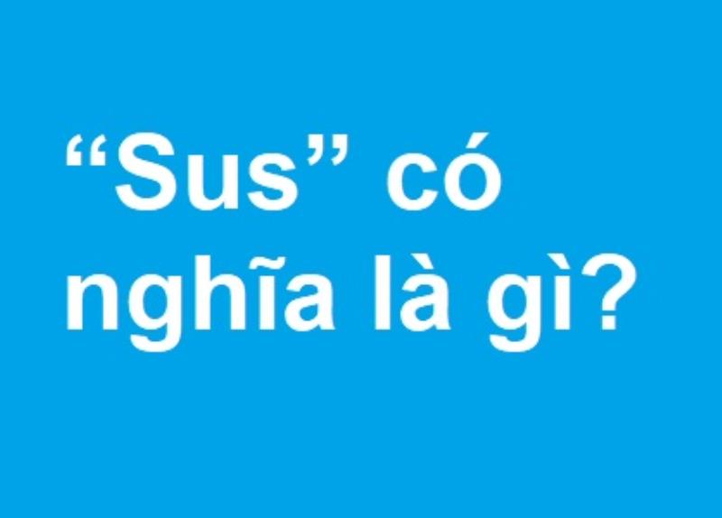 Sus là gì? Khám phá Ý nghĩa và Nguồn gốc của từ SUS trong Cộng đồng Mạng và Trò chơi Among Us
