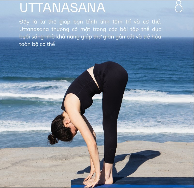 Bài tập yoga dễ thực hiện