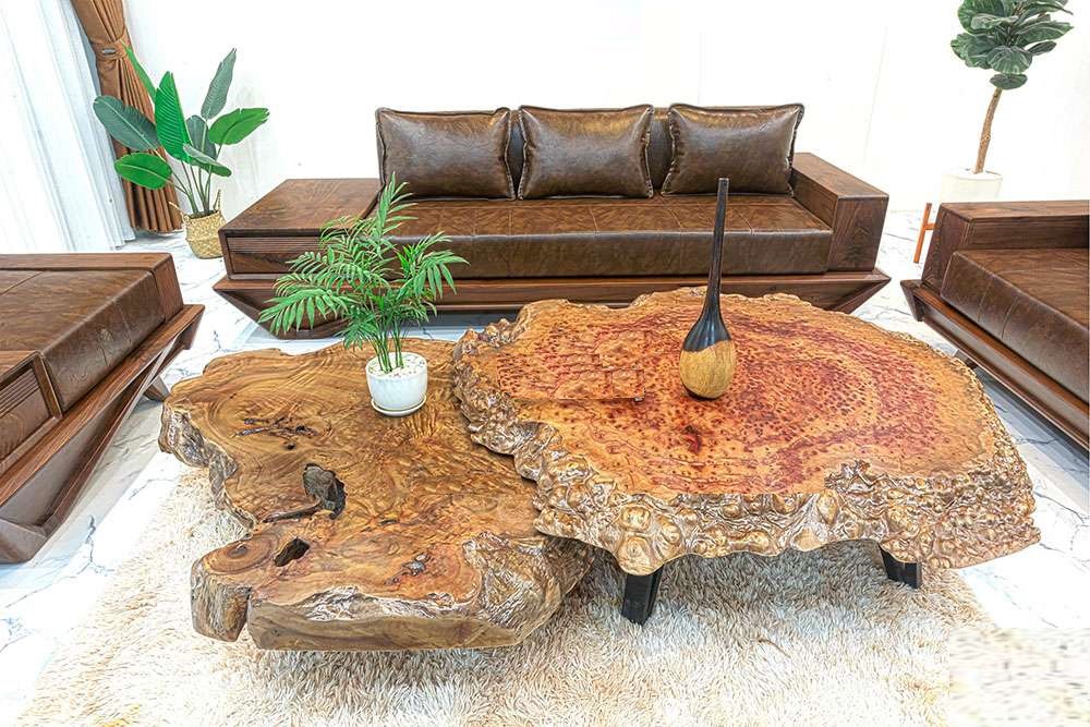 Xá xị là loài cây gỗ quý, thường đươc dùng làm các món đồ thủ công, mỹ nghệ và vật phẩm phong thủy đắt đỏ