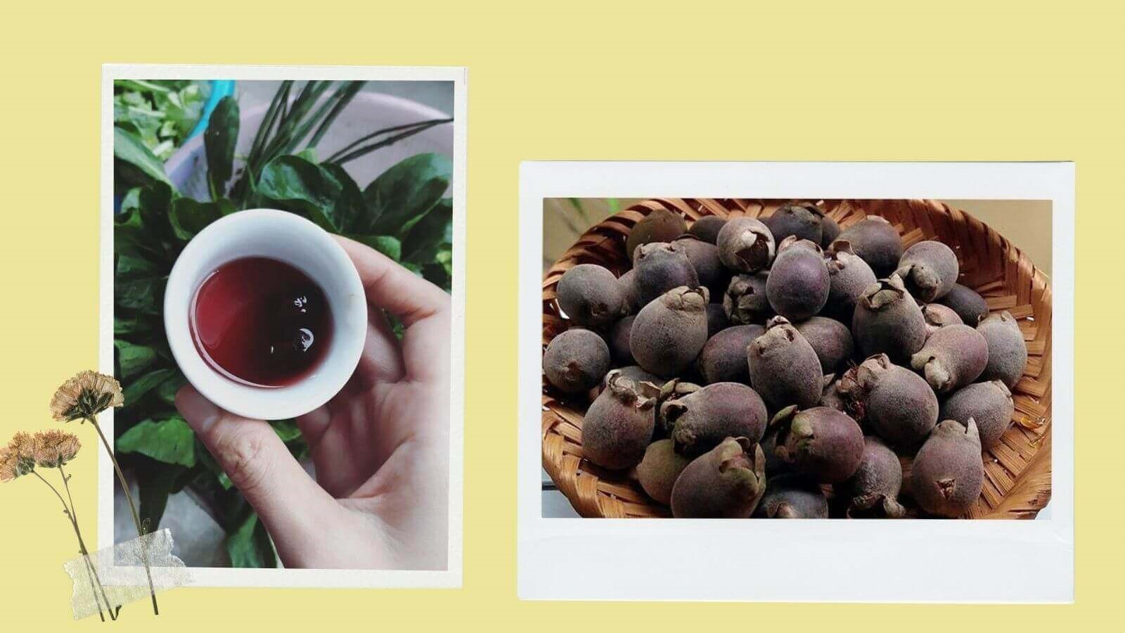 Lợi ích đến từ quả sim