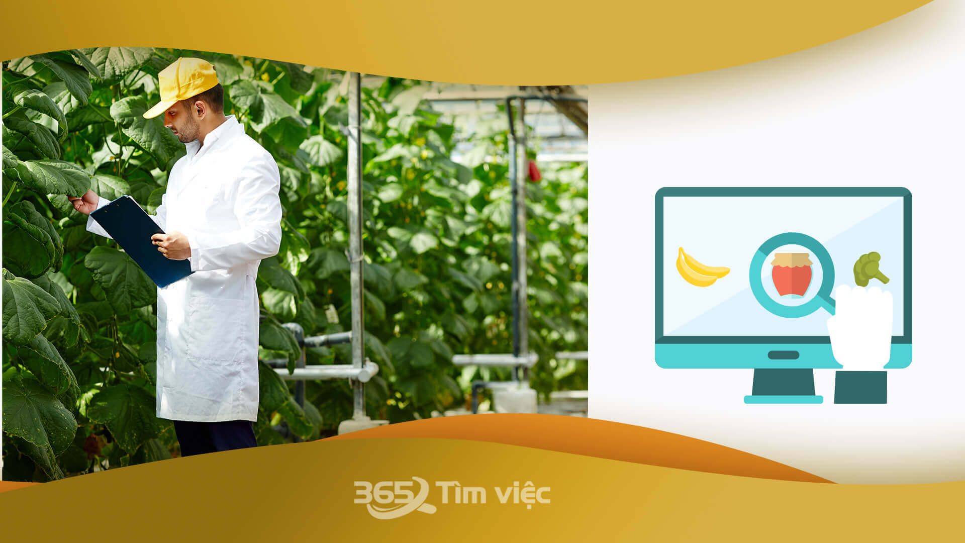 Thông tin những việc làm nhân viên an toàn môi trường