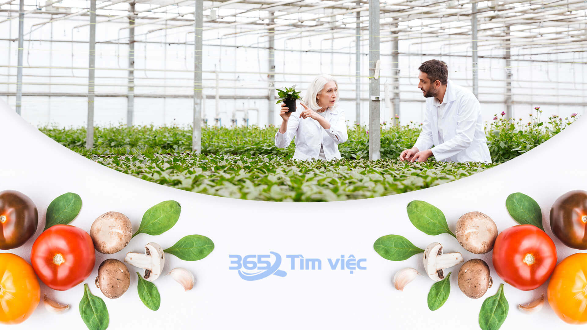 Những quyền lợi dành cho nhân viên an toàn môi trường