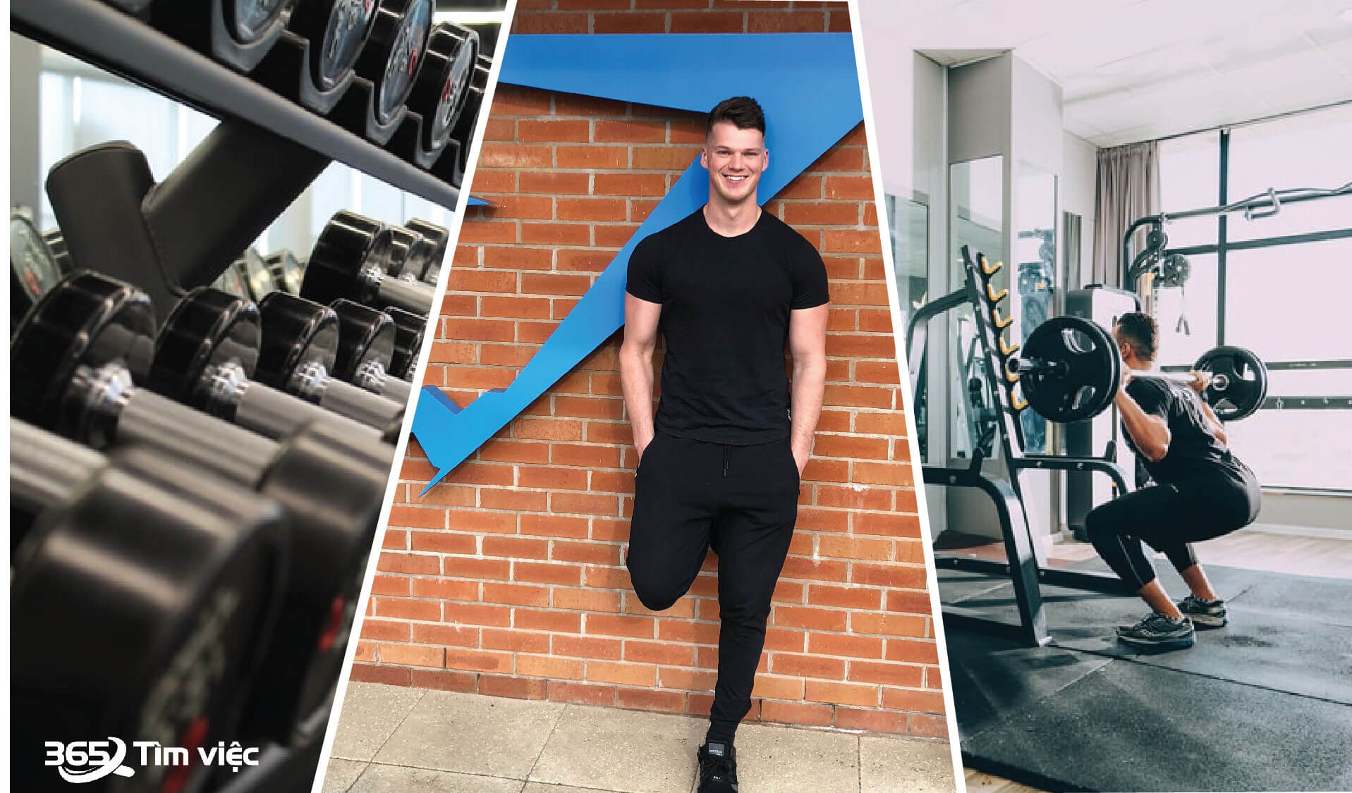 Bạn biết gì về Gymshark?