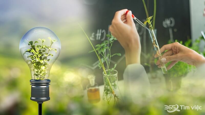 Hãy đánh giá kỹ năng của bản thân trước khi trở thành chuyên viên trang điểm