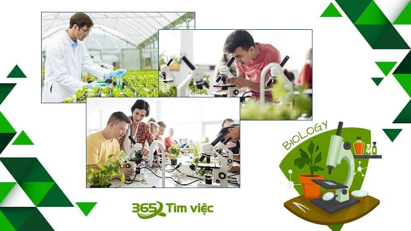 Đảm bảo an toàn thực phẩm