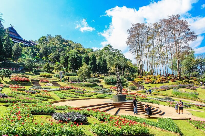 Thiết kế cảnh quan, cây cối