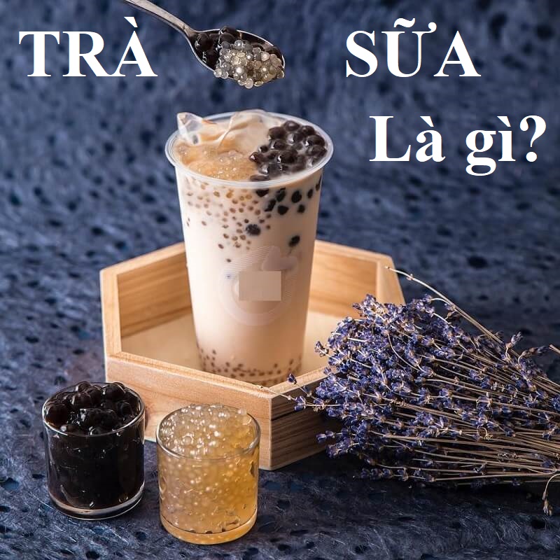 Trà sữa là gì và thực trạng uống trà sữa tại Việt Nam hiện nay