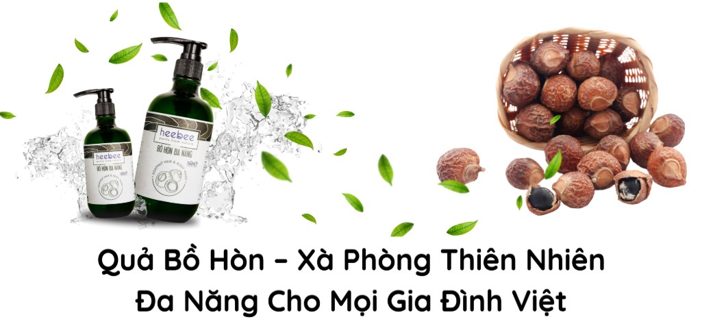Bồ hòn có thể dùng để tắm gội