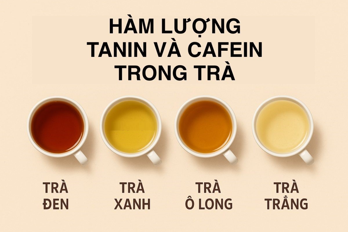 Vị chát là đặc trưng của tanin