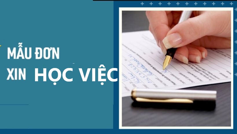 Đơn xin học việc khác với đơn xin việc