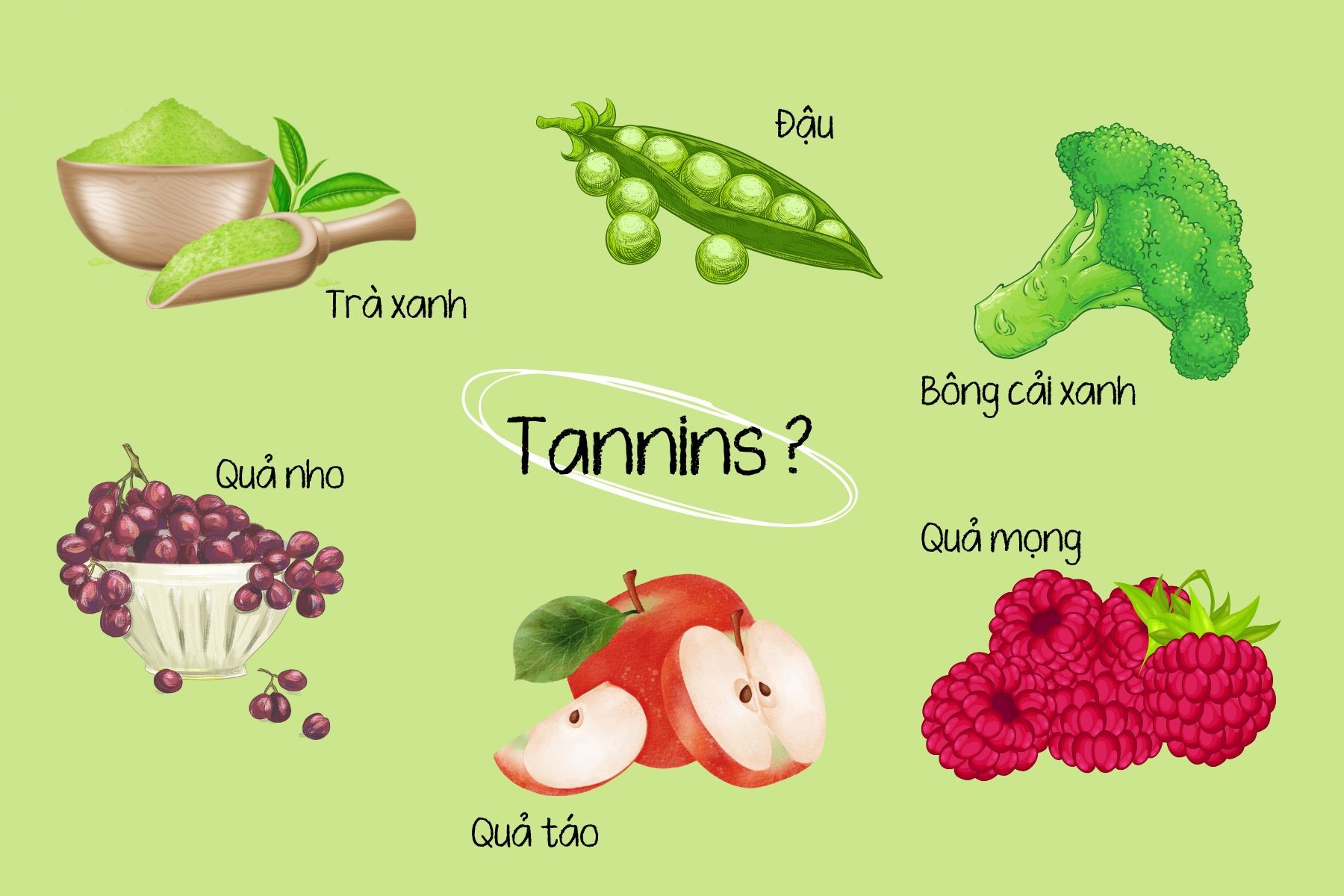 Tanin ở trong trái nho và nhiều loại quả khác, hàm lượng cao nhất khi quả còn xanh