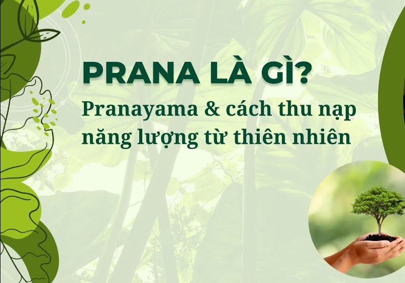 Hiểu rõ khái niệm Pranayama